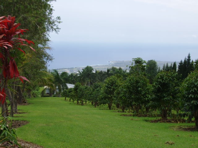 Ho'onanaea View to the West